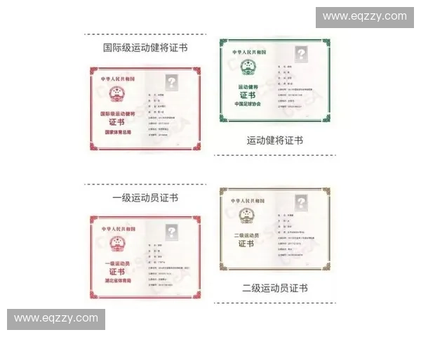 全面解读各大体育项目特点及适合人群助力运动选择与健身规划